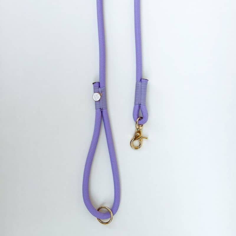 Laisse pour chien Furlou paracorde modèle lavender