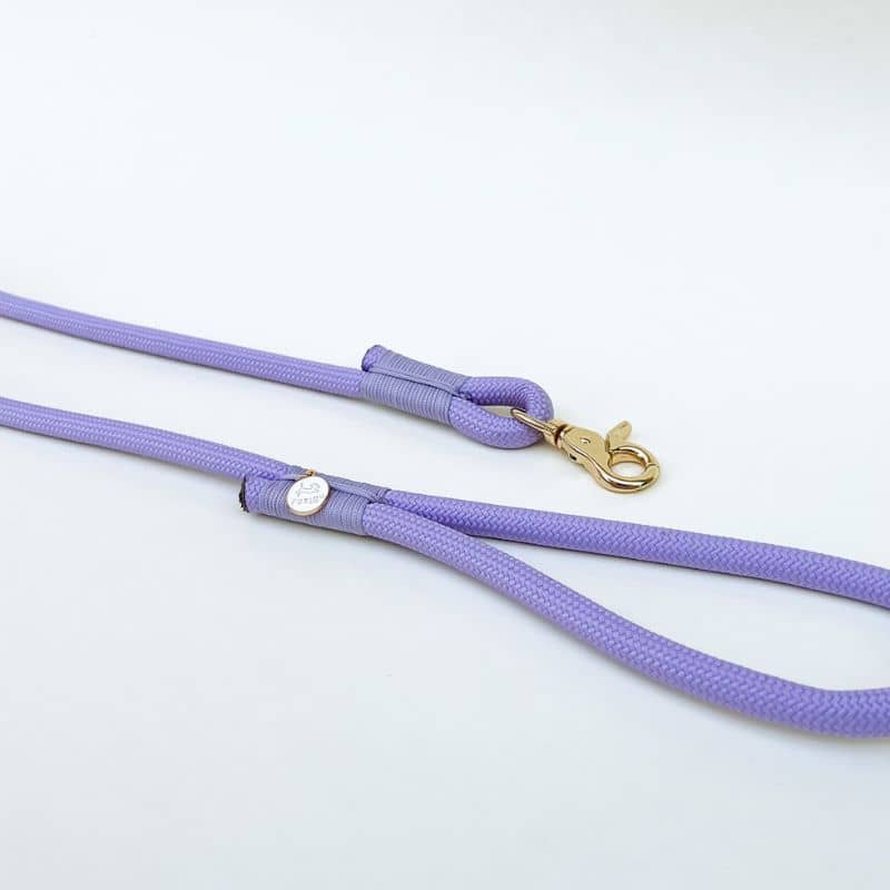 Détail laisse pour chien en violet en paracorde
