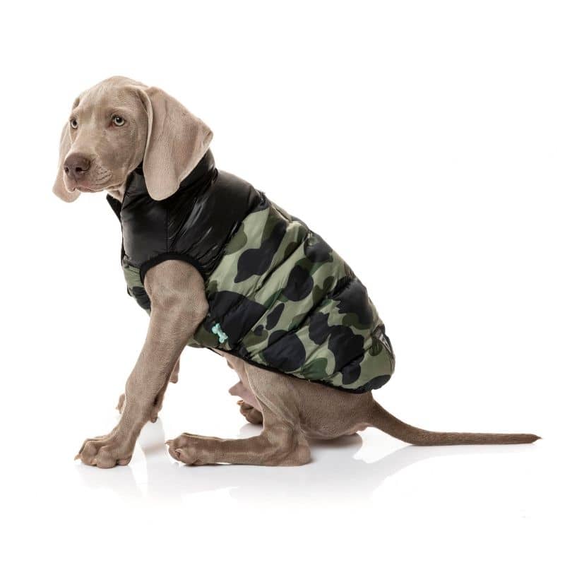 doudoune imperméable chaude et légère