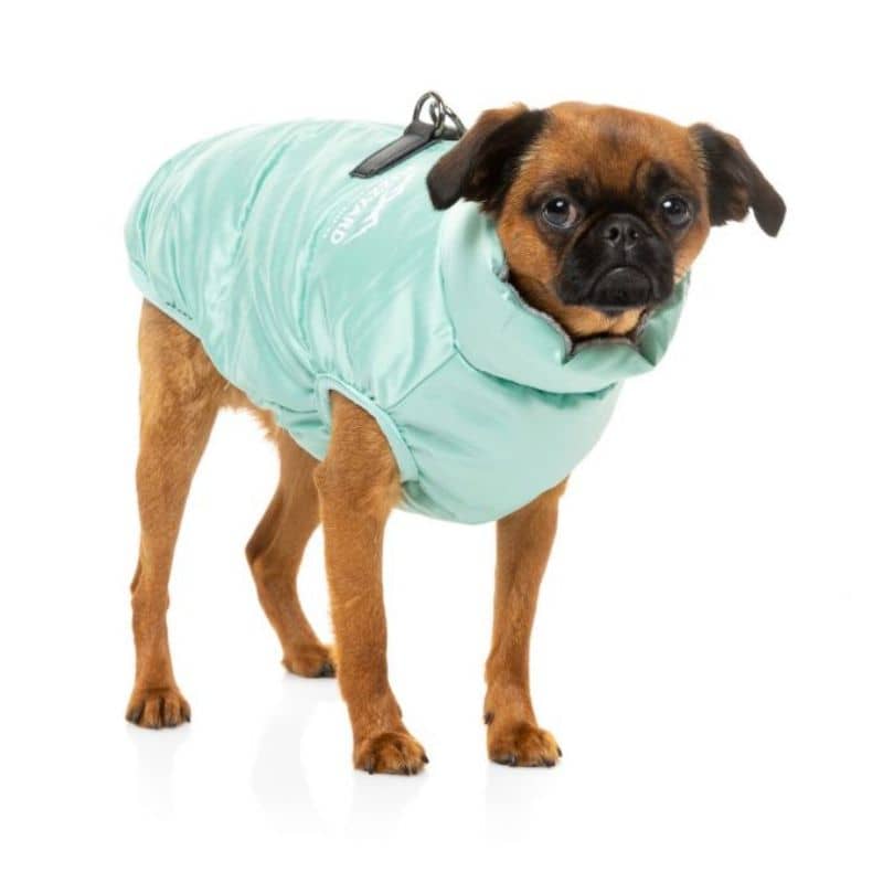 Manteau pour chien vert menthe tendance