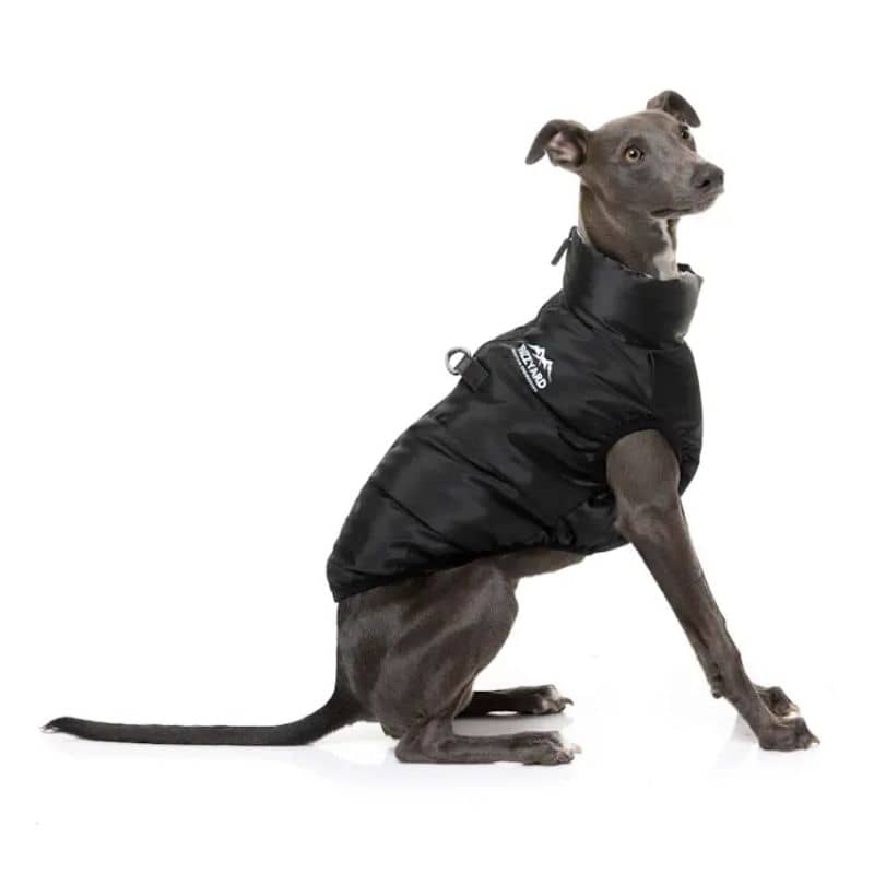 Doudoune chaude et confortable pour chien