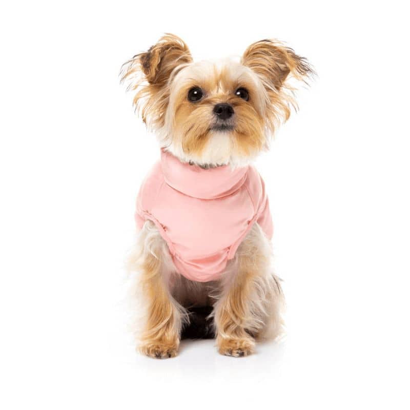 Chien avec manteau pour chien rose