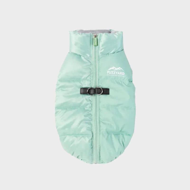 Doudoune pour chien chaude vert menthe