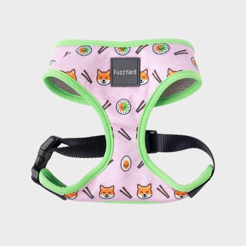 HARNAIS POUR CHIEN - SUSHIBA