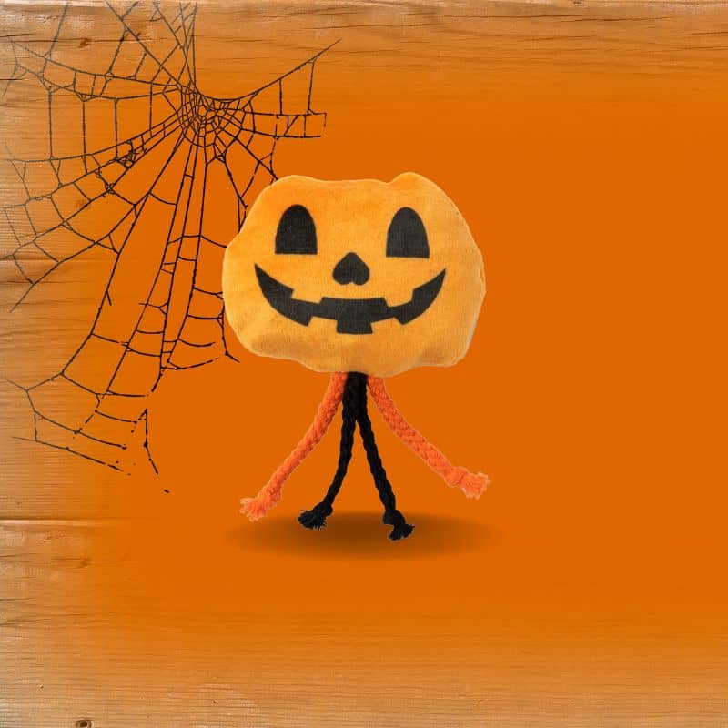 jouet halloween pour chat fourré à l'herbe à chat en forme de citrouille Percy Pumpkin Fuzzyard