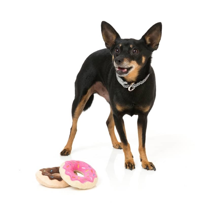 jouets pour chien en forme de mini donut 🍩 FuzzYard