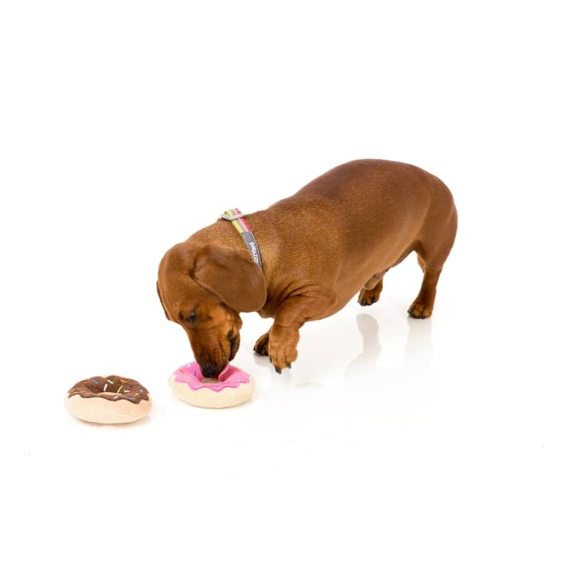 jouets pour chien en forme de mini donut 🍩 FuzzYard