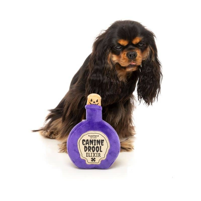 peluche Halloween pour chien Canine drool elixir en forme de bouteille de potion magique et filtre d'amour 