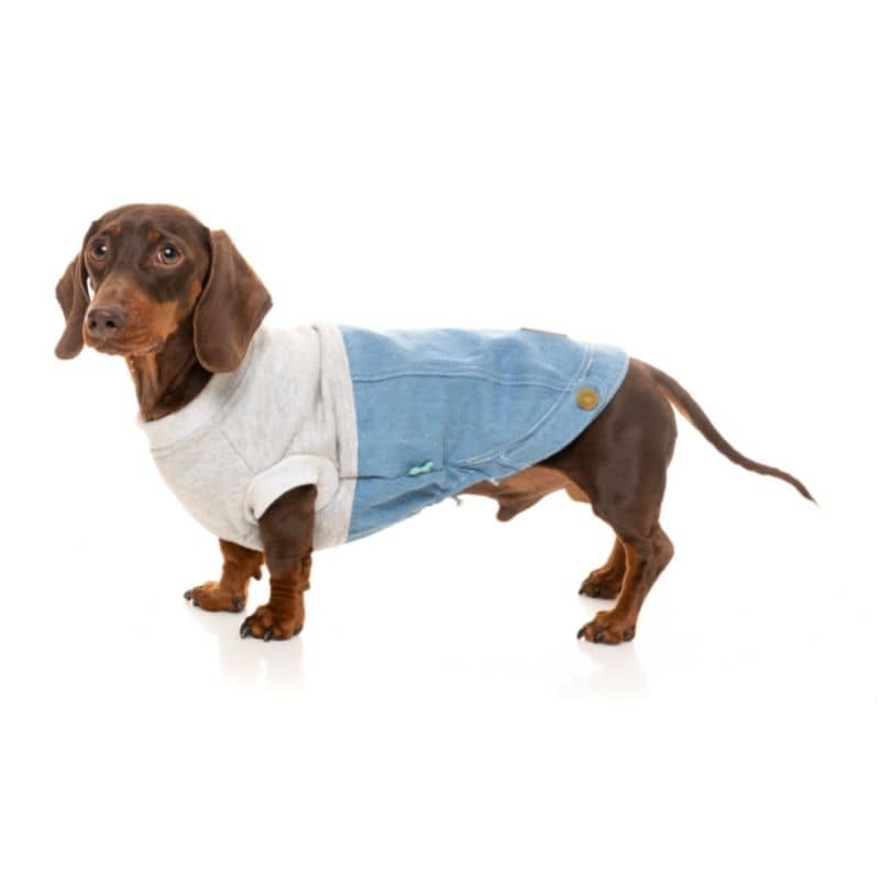 PULL POUR CHIEN - JEAN ET JERSEY