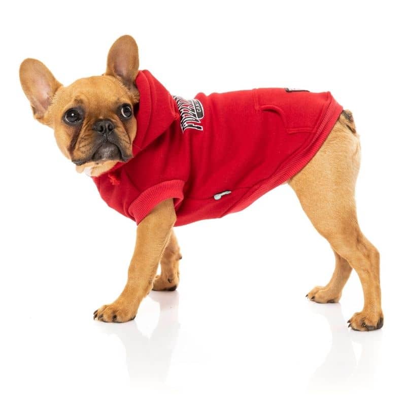 sweatshirt à capuche pour chien - university rouge