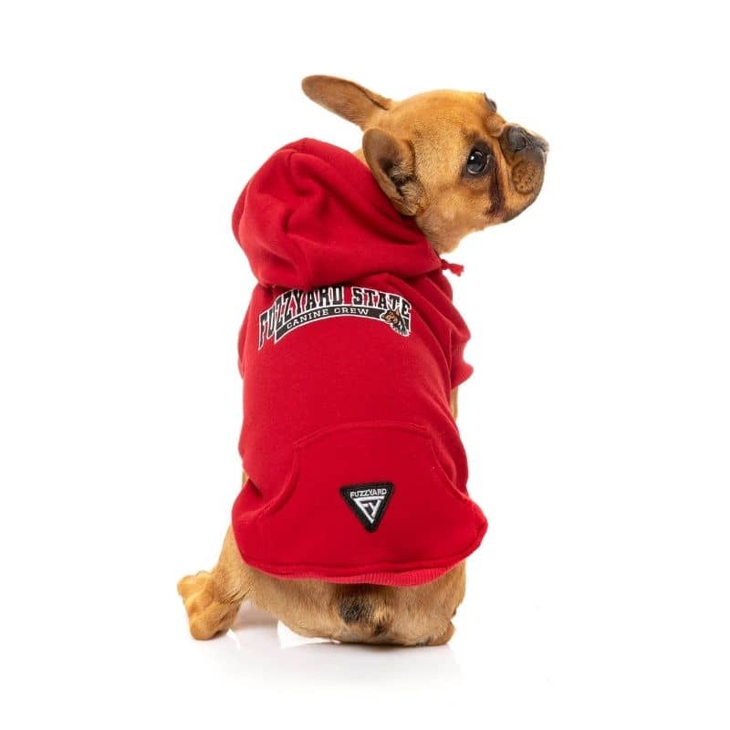 Sweat à Capuche Munsterlander – Cadeau Fun Pour Amoureux Des Chiens Petit Munsterlander