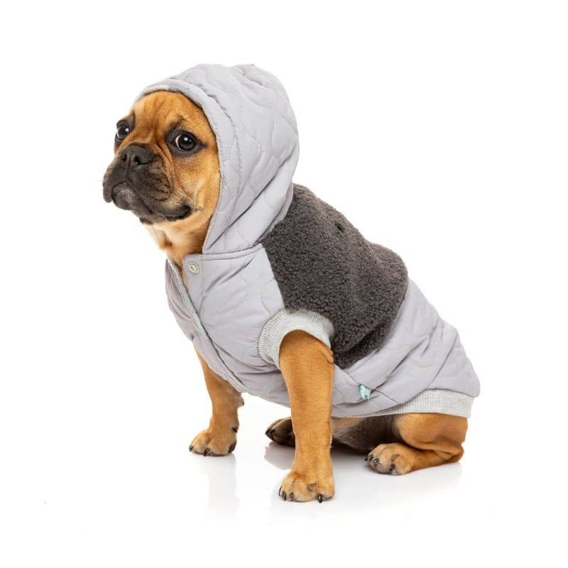 veste matelassée pour chien à capuche