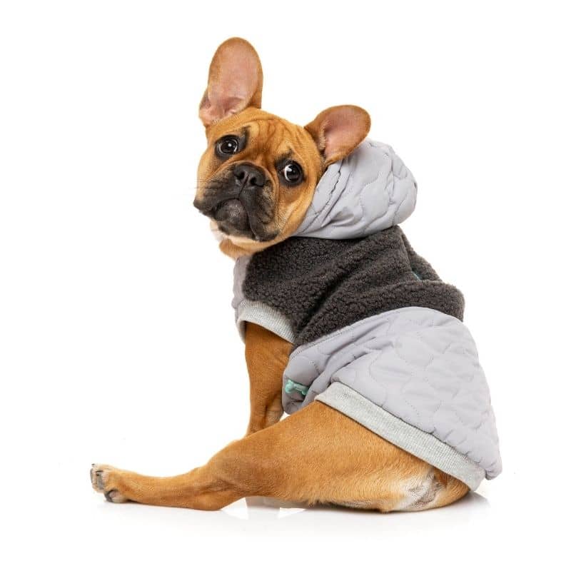 veste matelassée pour chien bi-matière