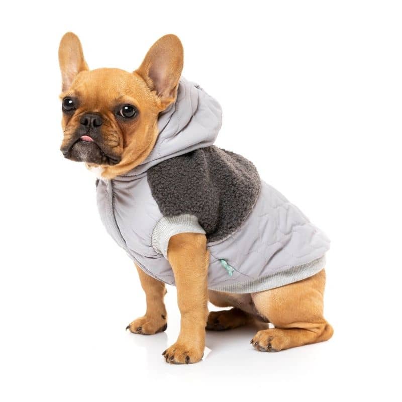 veste matelassée pour chien avec capuche et deux matières