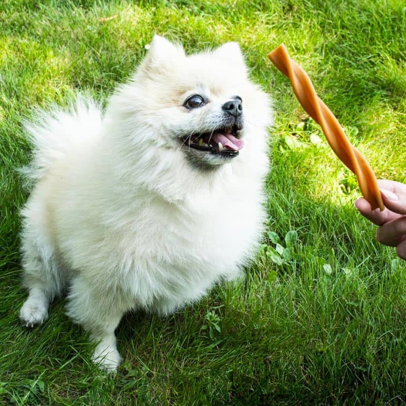 sticks dentaires à macher en forme de twist "Fruity dental swirls" Garden bites