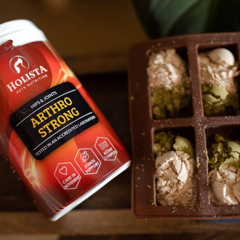 Complément alimentaire pour chien Arthro Strong de Holista en prévention contre arthrose