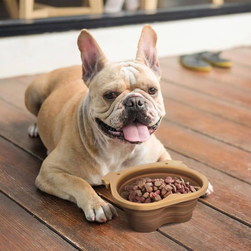 gamelle de voyage pour chien pliable légère et robuste en forme de de tête de chien Howligans