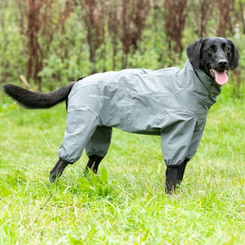 combinaison de protection imperméable pour chien Hugo & Hudson : protége du vent, de la pluie ou de la neige. Parfait pour les chiens à poils longs. 