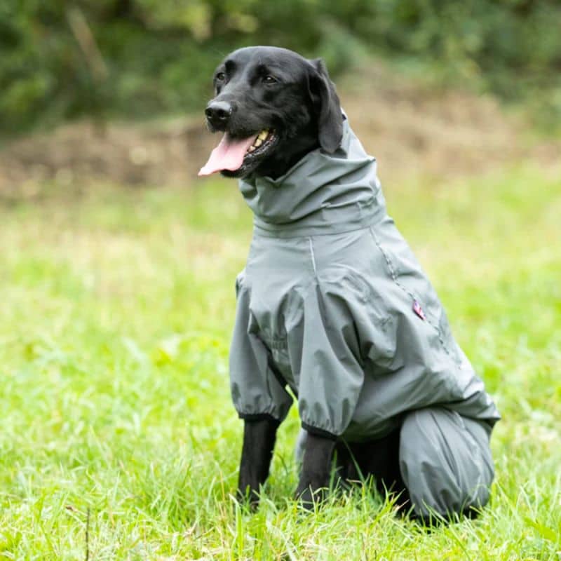 combinaison de protection imperméable pour chien Hugo & Hudson : protége du vent, de la pluie ou de la neige. Parfait pour les chiens à poils longs. 