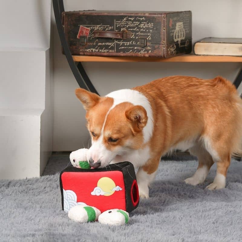 jouet interactif pour chien “Bento Box” 🍱 HugSmart