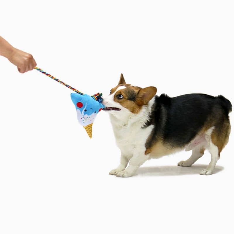 jouet pour chien “Fuji Ice-cream” ⛰️🍦 HugSmart 