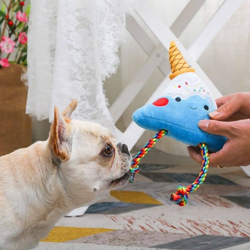 jouet pour chien “Fuji Ice-cream” ⛰️🍦 HugSmart 