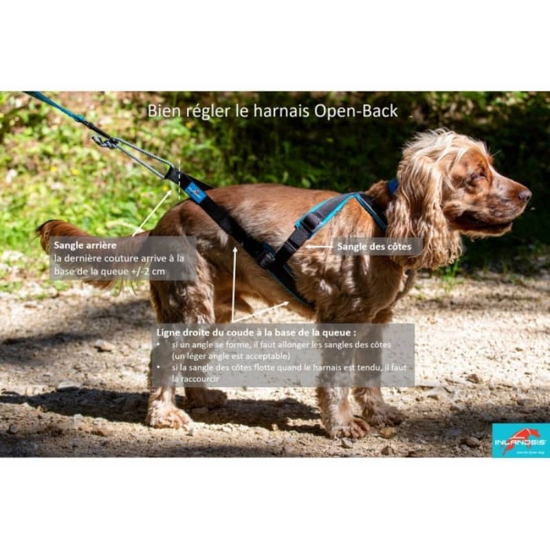 HARNAIS DE CANICROSS OPEN BACK INLANDSIS - POUR PETIT CHIEN – THE WOUF