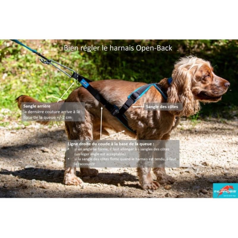 harnais canicross open back Inlandsis pour chien compact ou de petite taille