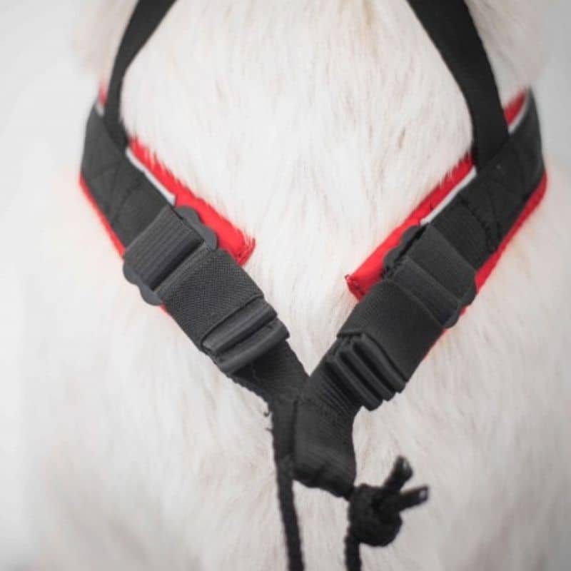 harnais canicross x back réglable pour chien Inlandsis polar quest evo