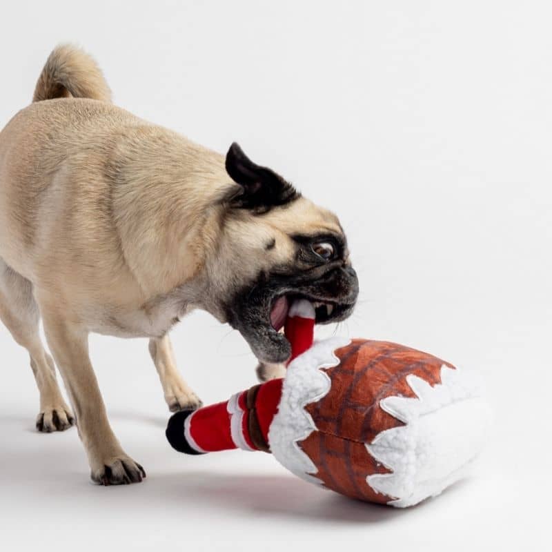 jeu d'occupation intéreactif peluche 2 en 1 pour chien Silver pere noel et cheminée