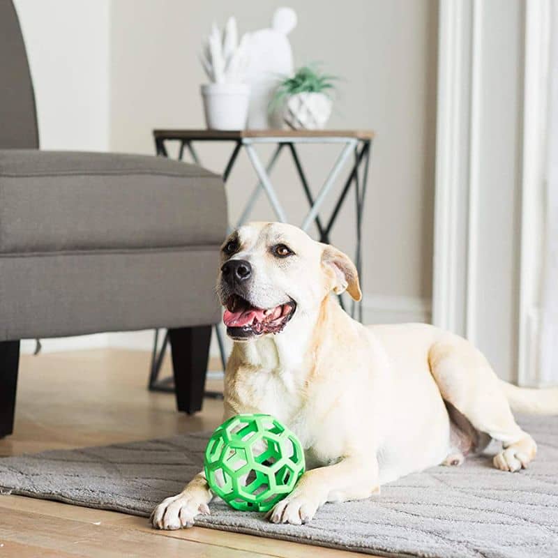 balle interactive pour chien "HOL-EE Roller" large de JW