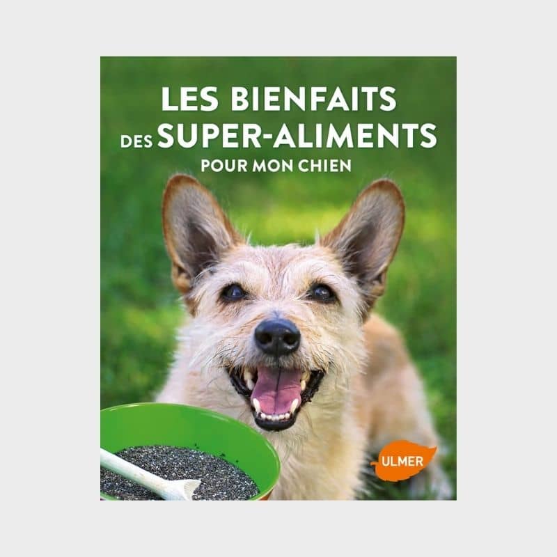 Les bienfaits des super-aliments pour mon chien par Valentina Kurscheid