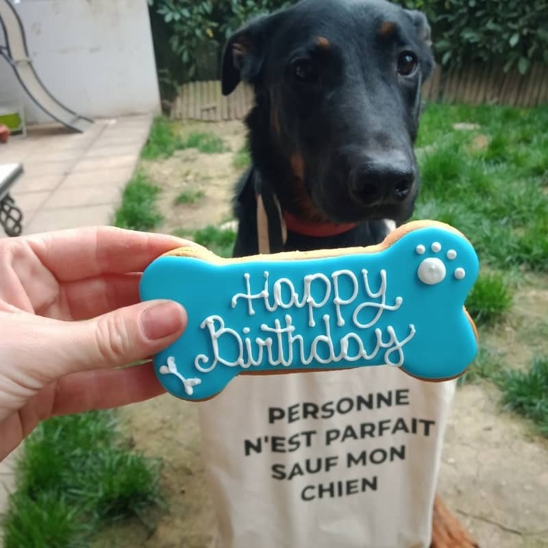 Lestat fête son anniversaire avec le gateau d'anniversaire Dolcimpronte