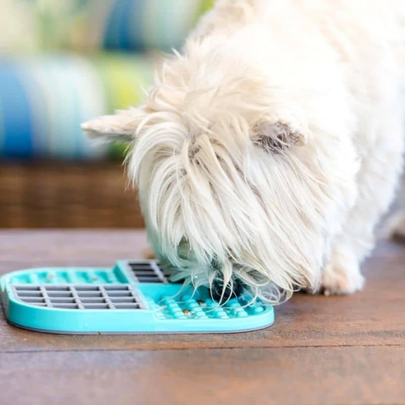 tapis de léchage et d'occupation pour chien et chat de la marque lickimat