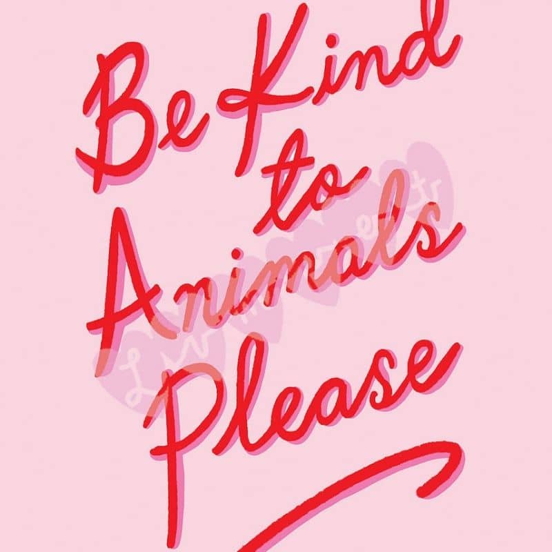 AFFICHE A4 - BE KIND TO ANIMALS