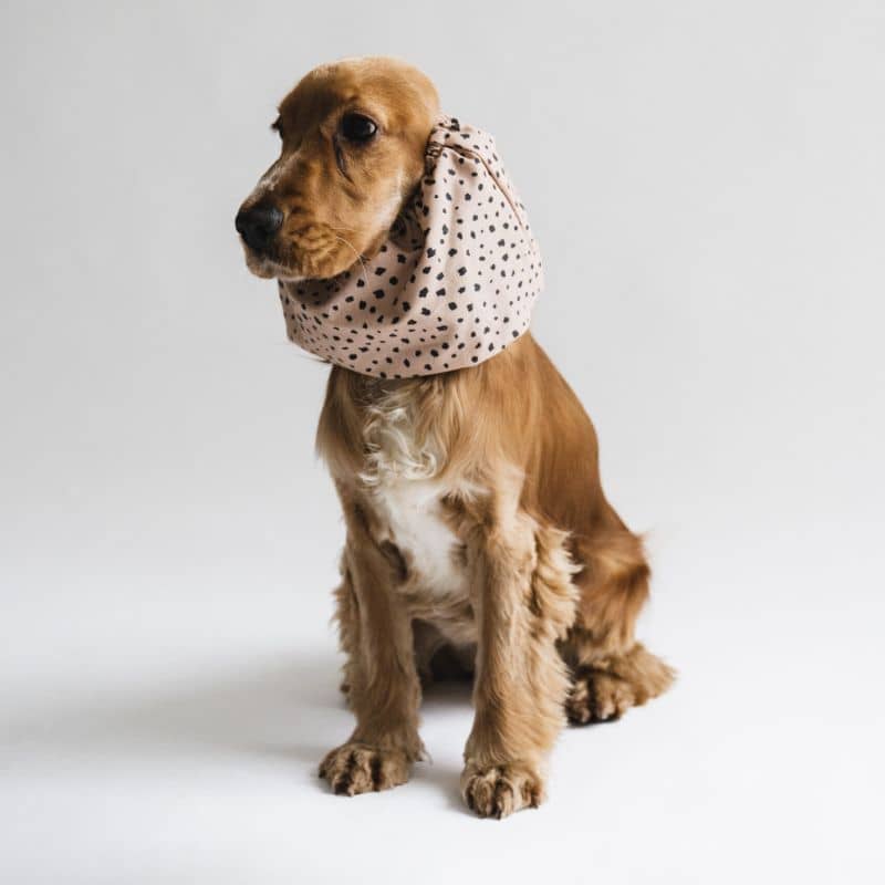 snood pour chien en coton motif léopard Lou & Co - protection des longues oreilles contre les épillets et l'humidité