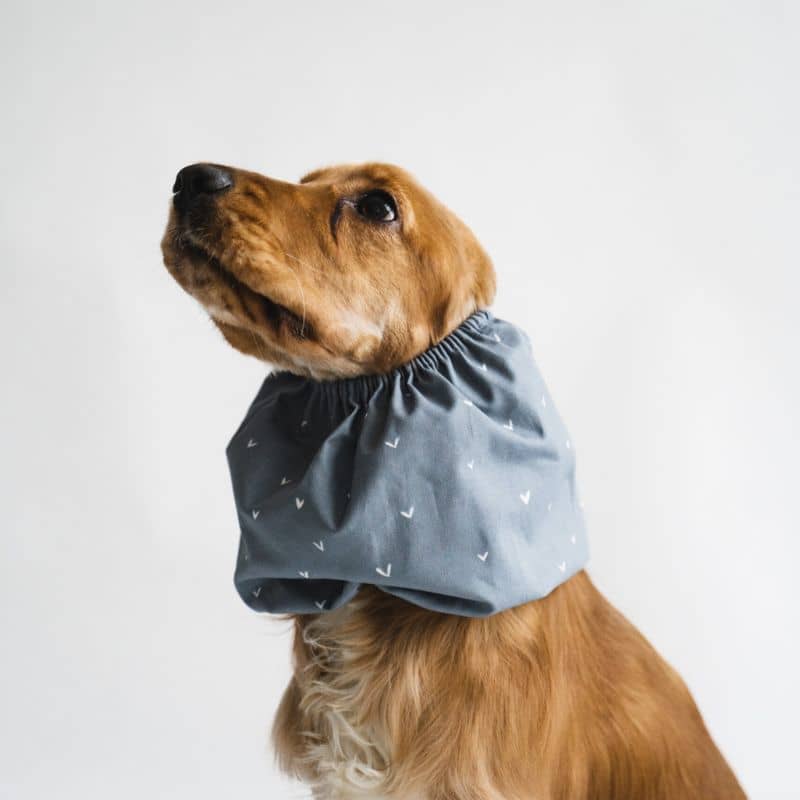 SNOOD POUR CHIEN EN COTON LOU & CO - BLEU MOTIFS COEURS – THE WOUF