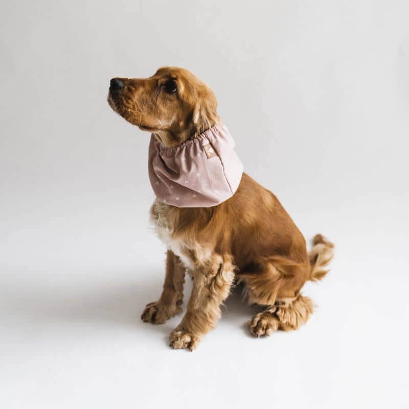 snood pour chien en coton rose motif coeur Lou & Co - protection des longues oreilles contre les épillets et l'humidité