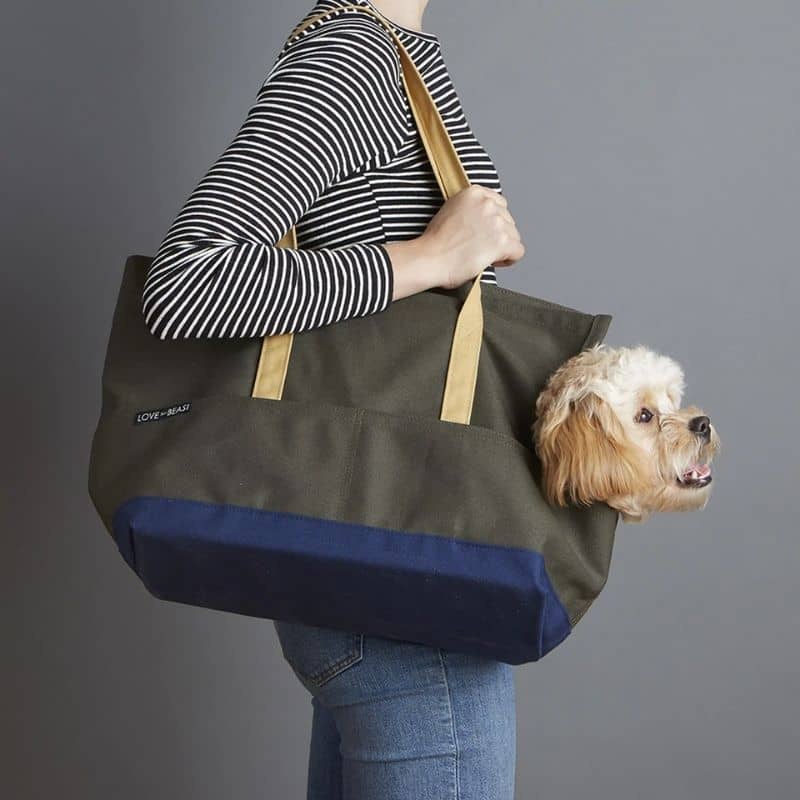 sac de transport robuste et esthétique pour chien de 13Kg kaki et marine love thy beast