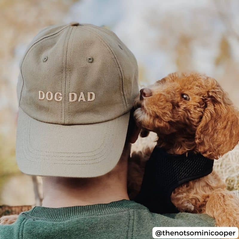 Casquette Dog Dad de Lucy & Co