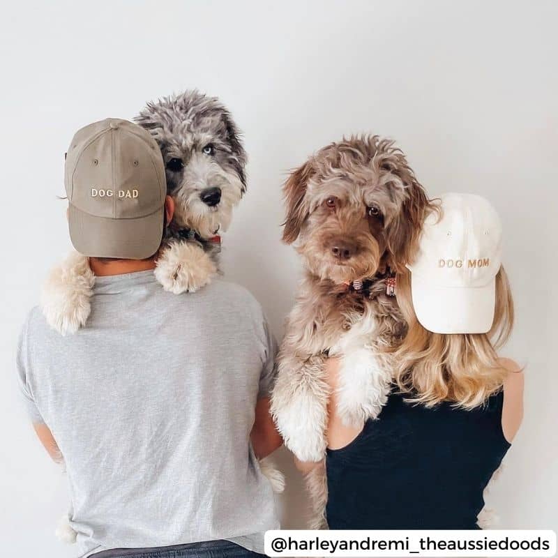 Casquette dog mom en beige et dog dad en kaki