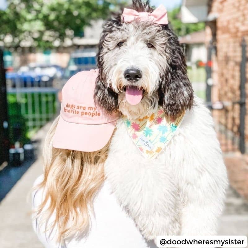 Casquette Lucy & Co en rose avec chien