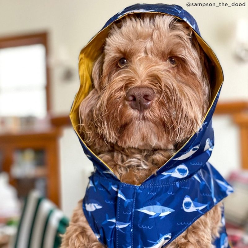 IMPERMÉABLE POUR CHIEN RÉVERSIBLE - REQUIN & JAUNE 🦈