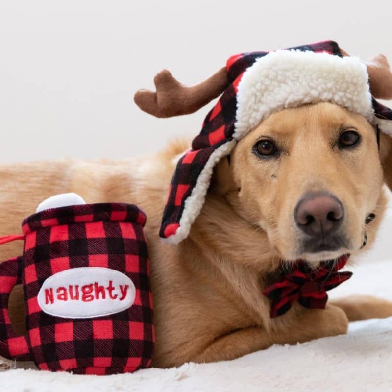 peluche de Noel pour chien Lulubelles en forme de mug réversible avec écrit naughty ou nice écrit et chamallow sur le dessus 