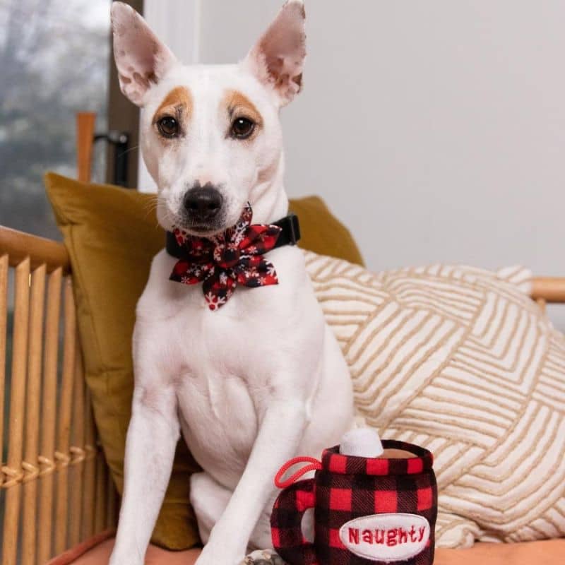 peluche de Noel pour chien Lulubelles en forme de mug réversible avec écrit naughty ou nice écrit et chamallow sur le dessus 