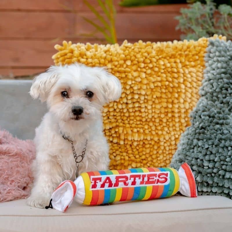 jouet pour chien Farties en forme de rouleau de bonbons Lulubelles