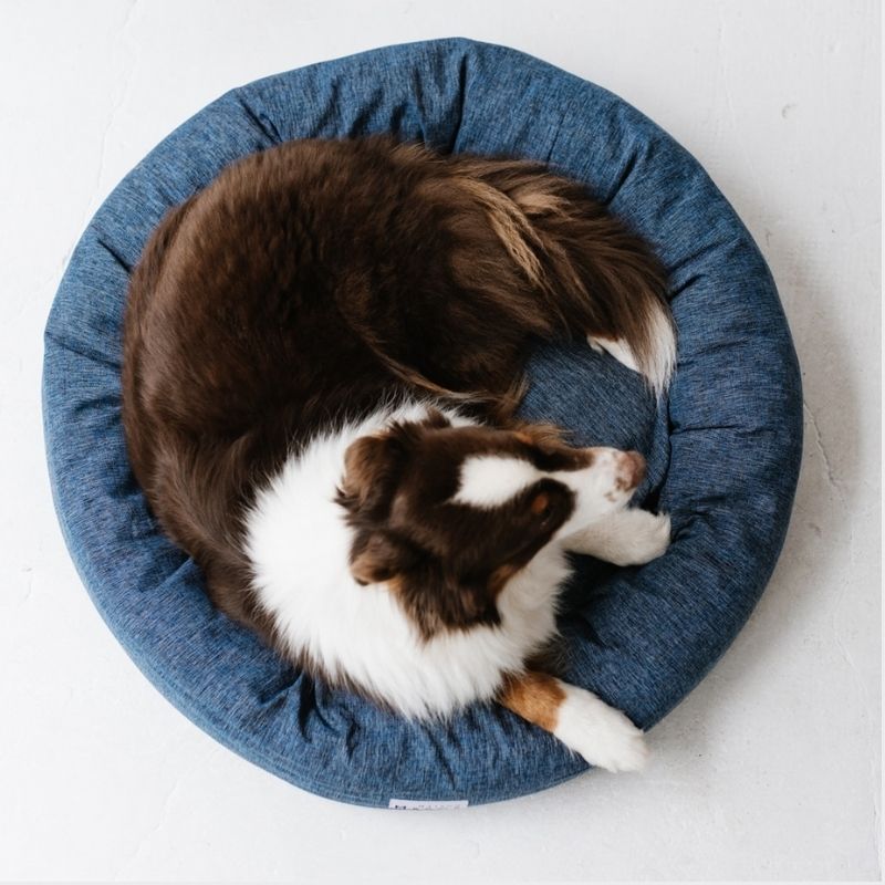 panier rond haut de gamme pour chien César en tissu effet jean de la marque française et haut-savoyarde Maison Médor