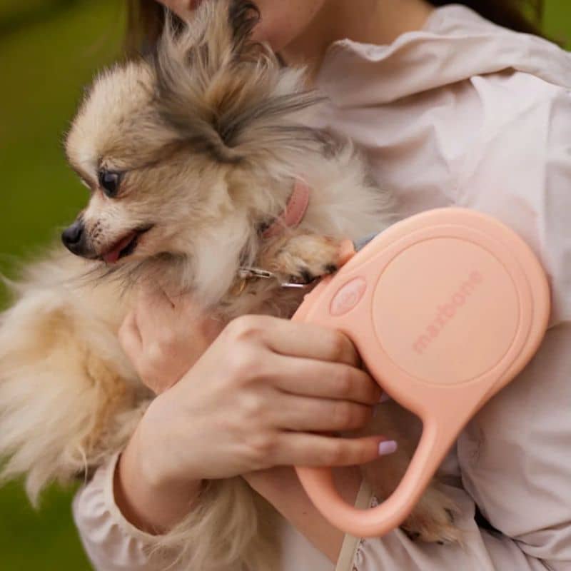 Laisse rétractable tendance pour chien Maxbone