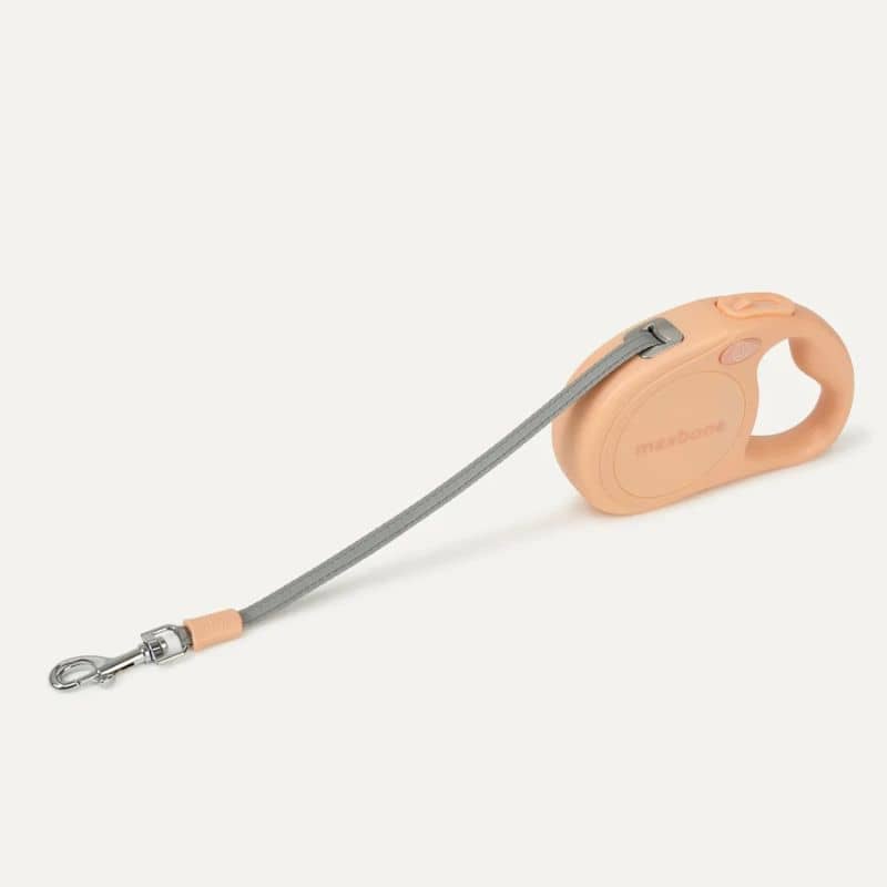 Détail sangle réfléchissante laisse rétractable pour chien Maxbone