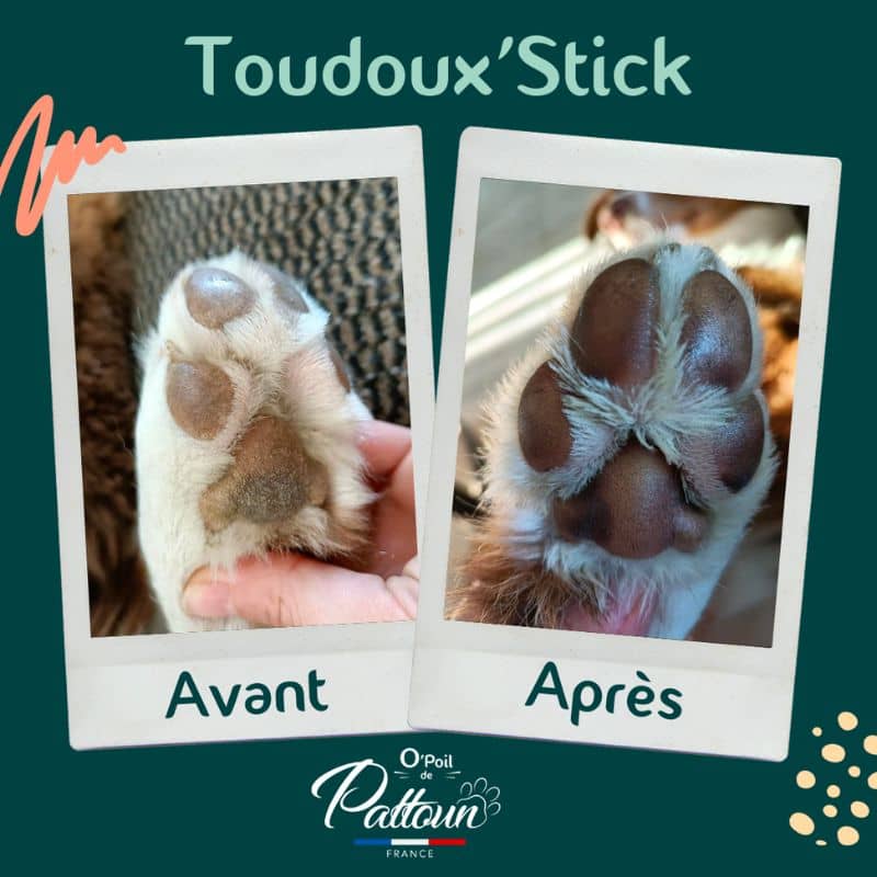 baume hydratant, nourrissant et apaisant pour chien, chat, nac et cheval Toudoux Stick O Poil dePattoun avanat apres